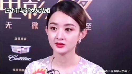 娛樂八卦吃瓜趙麗穎視頻在線觀看,揭秘幕后故事，帶你領(lǐng)略明星風(fēng)采