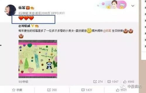 娛樂吃瓜醬生日,生日快樂，揭秘這位娛樂圈“瓜王”的獨家魅力