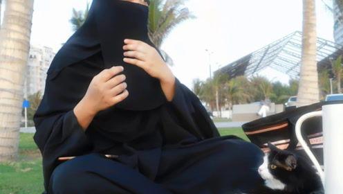 娛樂吃瓜君說七七視頻,娛樂吃瓜君帶你揭秘娛樂圈幕后故事