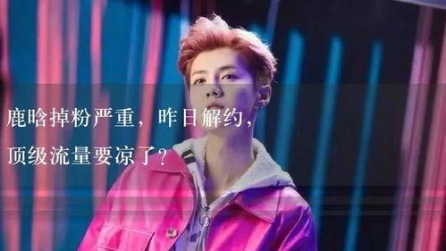 娛樂吃瓜解說,揭秘明星幕后那些事兒