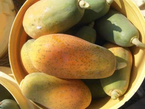 娛樂718sx吃瓜,揭秘娛樂圈最新吃瓜事件