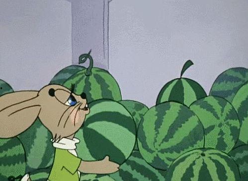 全球吃瓜娛樂,瓜田李下，娛樂盛宴