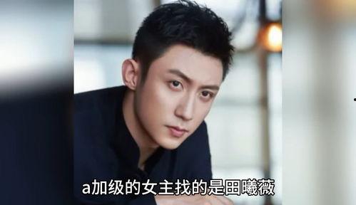 吃瓜八卦娛樂圈白鹿,瓜田里的明星風云錄