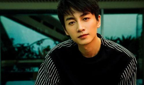 娛樂圈吃瓜情報(bào)局陳曉,娛樂圈吃瓜情報(bào)局揭秘，明星背后的故事