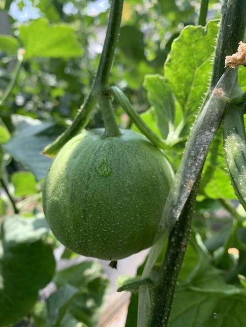 今天吃的娛樂圈的瓜,明星們的甜蜜與苦澀瞬間揭曉