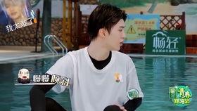 娛樂圈吃瓜楊迪,娛樂圈吃瓜達(dá)人，揭秘幕后故事