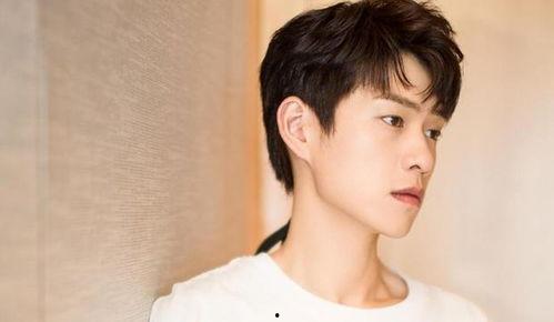 吃瓜娛樂(lè)圈任豪,娛樂(lè)圈的瓜田新秀，星光璀璨的蛻變之路