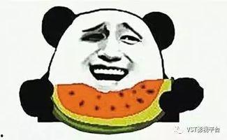 娛樂圈吃瓜系統(tǒng)雕動畫,揭秘明星幕后故事