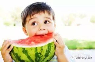 娛樂吃瓜君說二豆,二豆背后的故事與真相