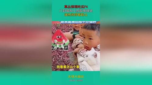 娛樂(lè)吃瓜群眾歌曲大全,歌曲大全盤點(diǎn)