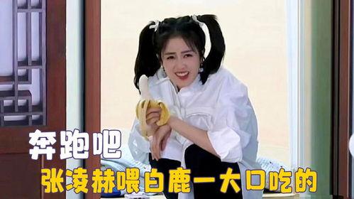 愛(ài)豆吃瓜娛樂(lè)白鹿,愛(ài)豆吃瓜娛樂(lè)背后的故事