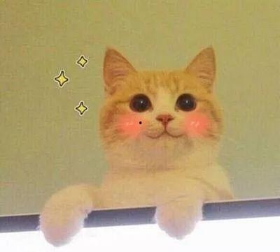 貓貓永不為奴娛樂(lè)吃瓜醬,揭秘娛樂(lè)圈幕后趣聞