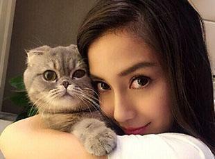 娛樂(lè)圈貓貓吃瓜圖片,萌態(tài)十足揭秘明星幕后趣聞