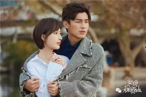 娛樂吃小瓜楊旭文,娛樂吃瓜背后的成長與蛻變