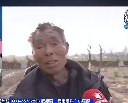 娛樂吃瓜醬76歲爺爺,揭秘娛樂圈背后的故事