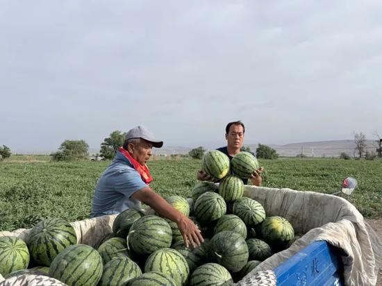 每天娛樂(lè)吃瓜,娛樂(lè)圈新鮮事速遞