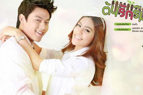 男女主娛樂圈吃瓜的小說,瓜田里的甜蜜邂逅