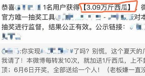 娛樂吃瓜醬如何背書,輕松背書，趣味學知識