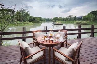 吃瓜娛樂杭州椰子賓館,揭秘網紅酒店背后的吃瓜娛樂故事