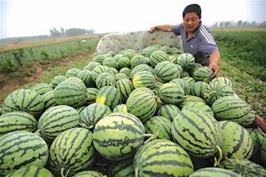 娛樂吃瓜居民,吃瓜群眾眼中的明星生活