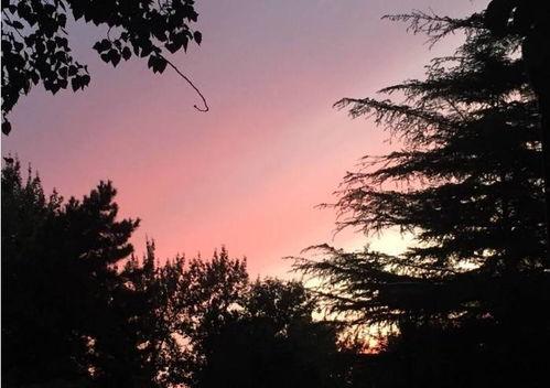 娛樂吃瓜醬晚霞,吃瓜醬帶你領略娛樂圈晚霞時刻