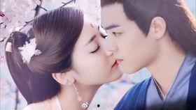 吃瓜小說娛樂圈完結(jié)文,瓜田里的甜蜜復(fù)仇