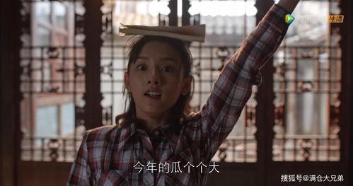 娛樂圈無腦吃瓜,無腦吃瓜，揭秘明星幕后故事