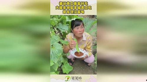 娛樂吃瓜醬家庭,揭秘娛樂圈背后的溫馨故事