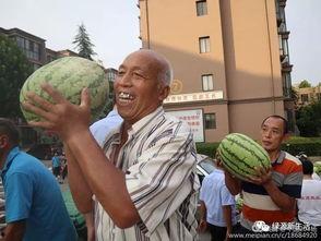 吃瓜娛樂(lè)照片大全,吃瓜娛樂(lè)照片大全大匯總