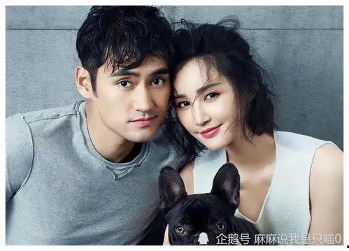 娛樂圈張杰謝娜吃瓜爆料,揭秘明星夫妻的甜蜜與爭議