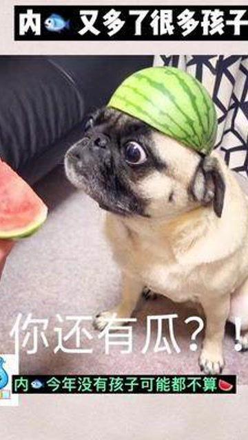 娛樂(lè)吃瓜寶寶,揭秘娛樂(lè)圈那些不為人知的幕后故事