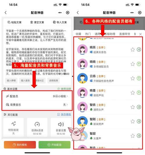 娛樂吃瓜音效軟件哪個(gè)好,哪個(gè)是你的最佳選擇？