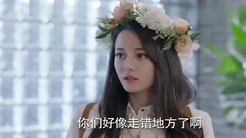 娛樂吃瓜醬七七,娛樂吃瓜醬的趣味人生解碼