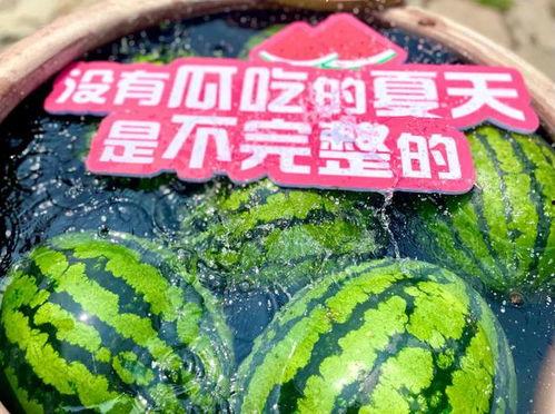 娛樂場(chǎng)所日常吃瓜,揭秘日常吃瓜背后的故事與真相