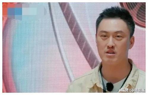 娛樂圈吃瓜爆料水印,揭秘明星幕后故事，水印見證真相！