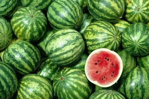 娛樂吃瓜作品在哪看,盤點各大平臺熱門作品一覽