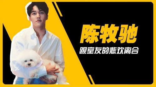 吳楚一娛樂圈吃瓜,揭秘明星背后的“吃瓜”故事