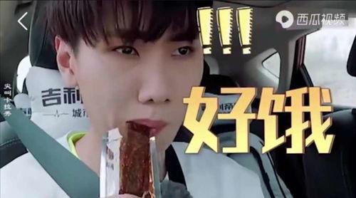 愛豆吃瓜娛樂醬肖宇梁,愛豆吃瓜娛樂醬，揭秘娛樂圈幕后故事