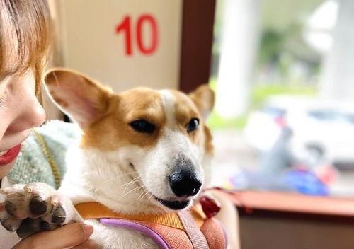 熱門八卦娛樂吃瓜搞笑,笑料百出，八卦連連，揭秘明星幕后趣事