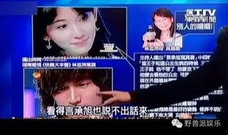 娛樂吃瓜蜀黍廣告視頻在線觀看,揭秘?zé)衢T廣告視頻，帶你領(lǐng)略網(wǎng)絡(luò)娛樂新風(fēng)尚