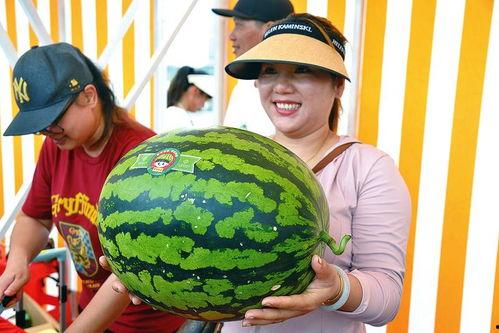 吃瓜娛樂會,吃瓜娛樂背后的真相與內(nèi)幕