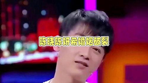 娛樂圈吃瓜情報局陳曉,娛樂圈吃瓜情報局揭秘，明星背后的故事
